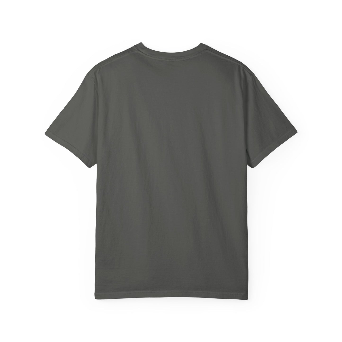Lion Graphic Unisex Garment-Dyed T-Shirt - Casual Cool Apparel
