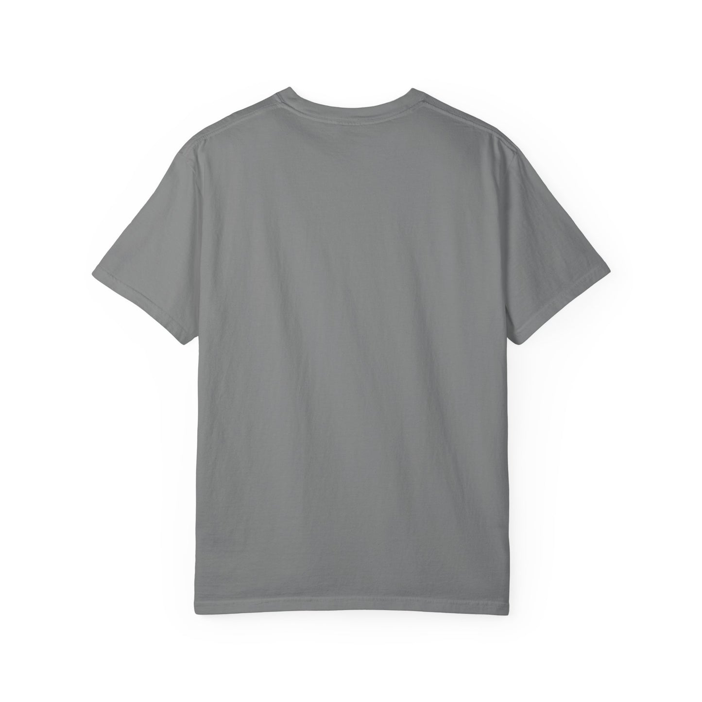 Lion Graphic Unisex Garment-Dyed T-Shirt - Casual Cool Apparel